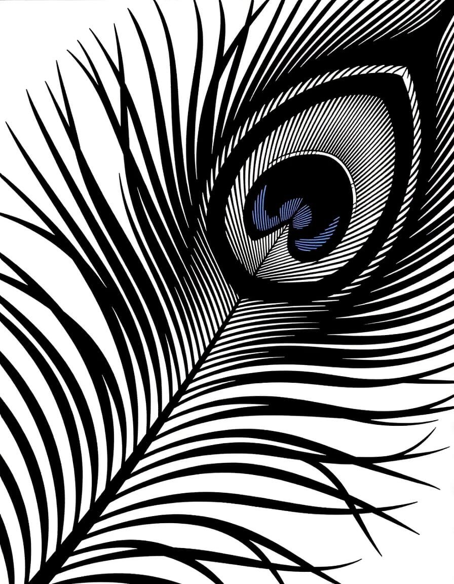 Intricate Black and White Peacock Feather Graphic