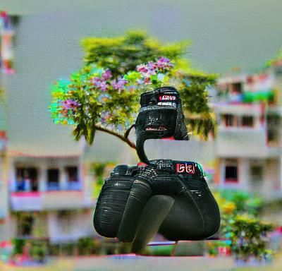 DSLR Image