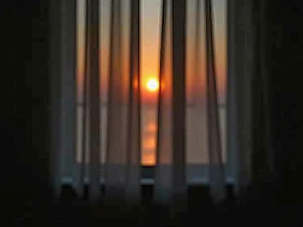 Sensual Curves: The Art of Modern Erotica