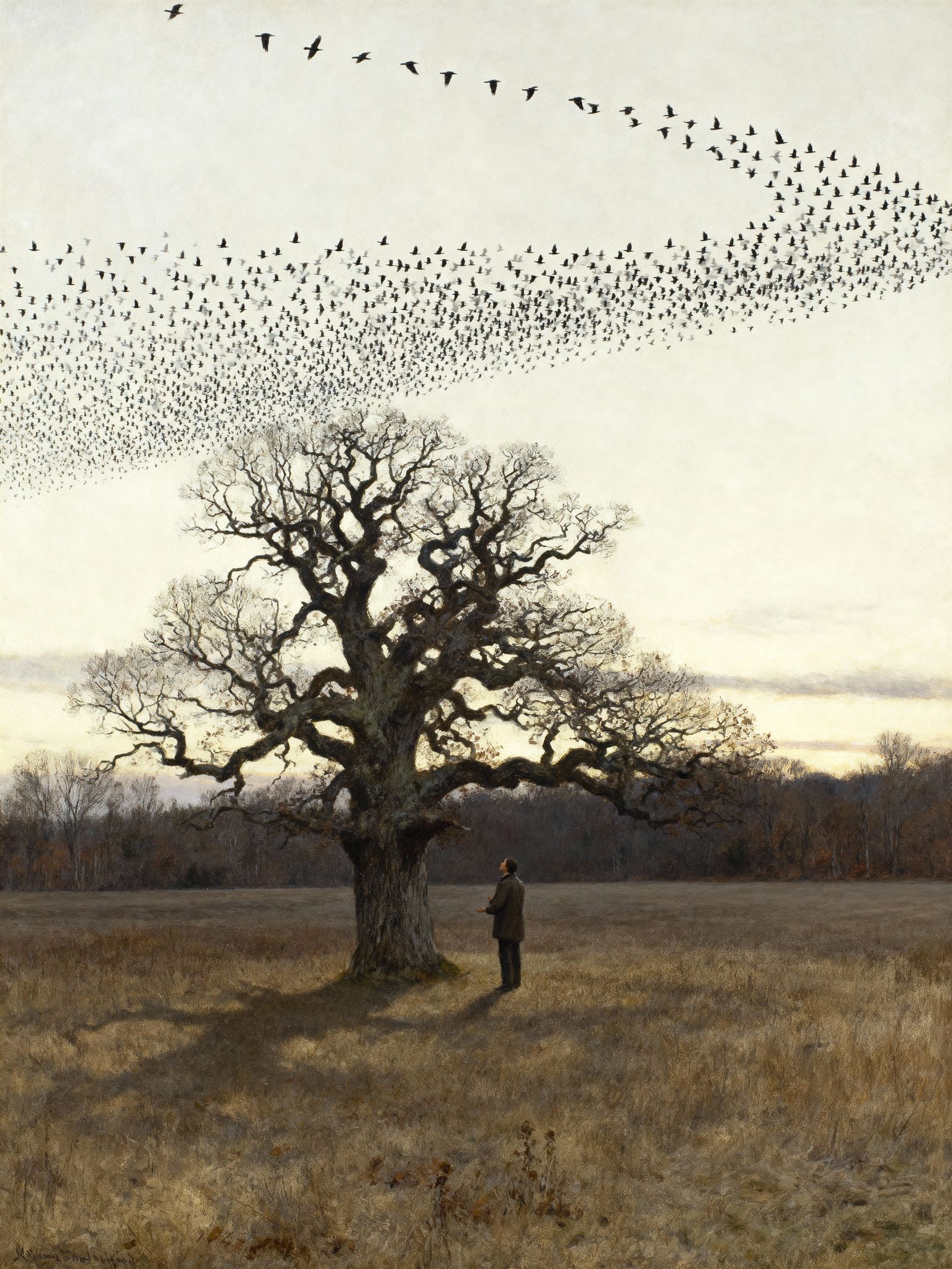 Person Talks With Tree as Birds Fly South in November