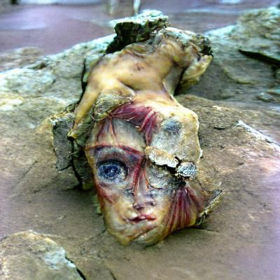 Petrified Victim: A Moment Frozen in Stone