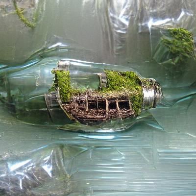 Moss-Covered Ship in a Bottle