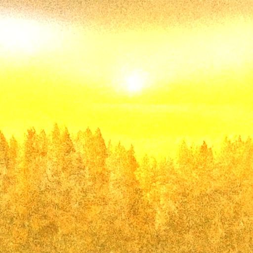 Hyperrealistic 8K Forest Sunrise in Yellow Light