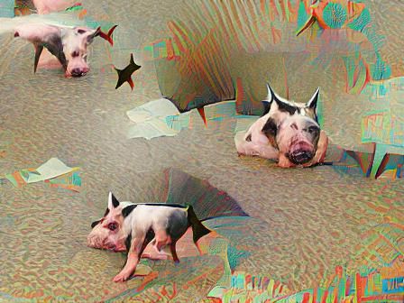 Charming Potbelly Pig Portrait