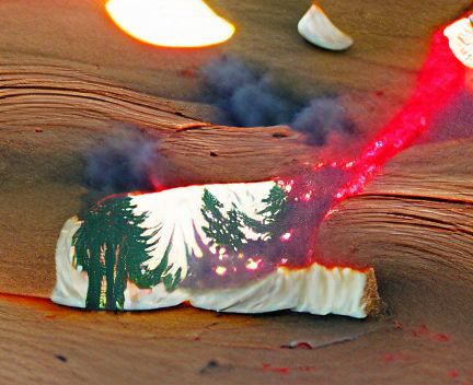 Surreal Burning Redwood with Tinted Flares