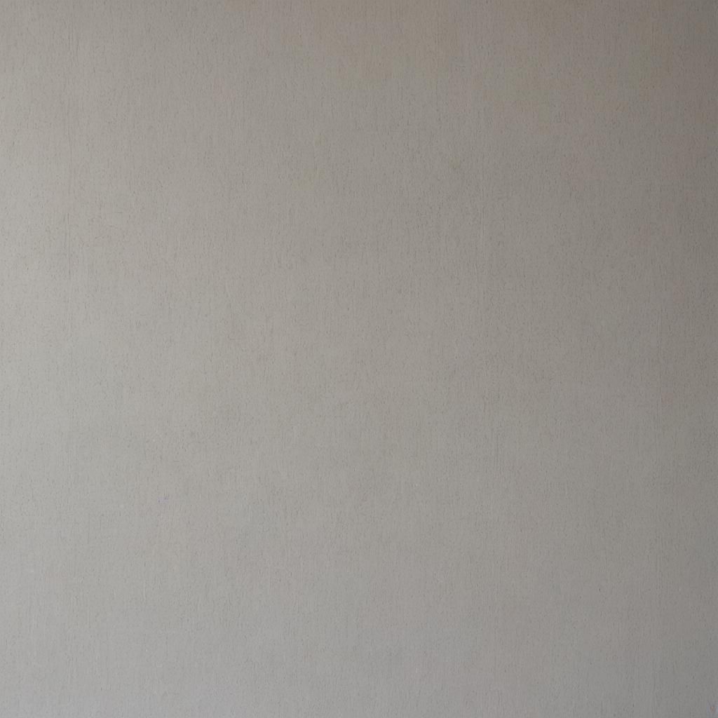 Neutral Gray Wall Background for Google Meet