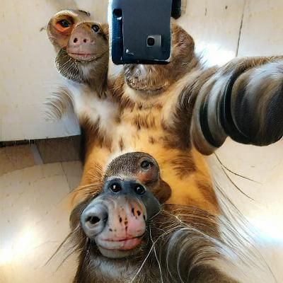 Bold Graphic Style Selfie Portrait