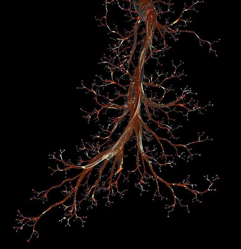 Luminescent Bronze Dendrites on White