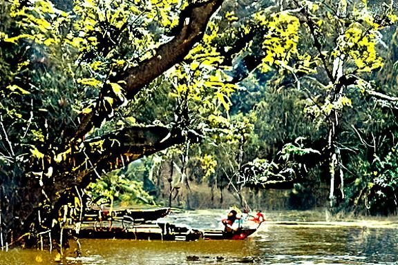Kuala Tahan National Park River Scene, 1976