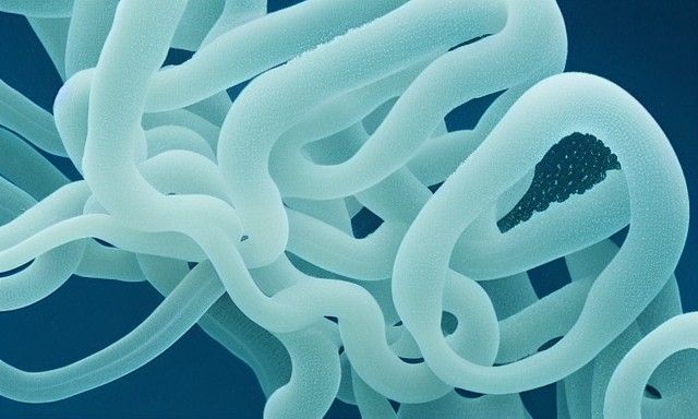 Striking AI Portrait of Medusa