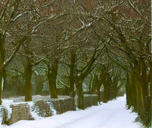 Seasonal Transitions Inspired by William Butler Yeats