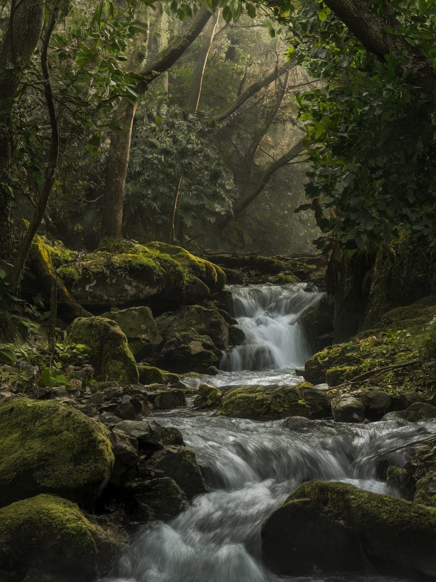 Cinematic Eco Art: Nature's Beauty Captured
