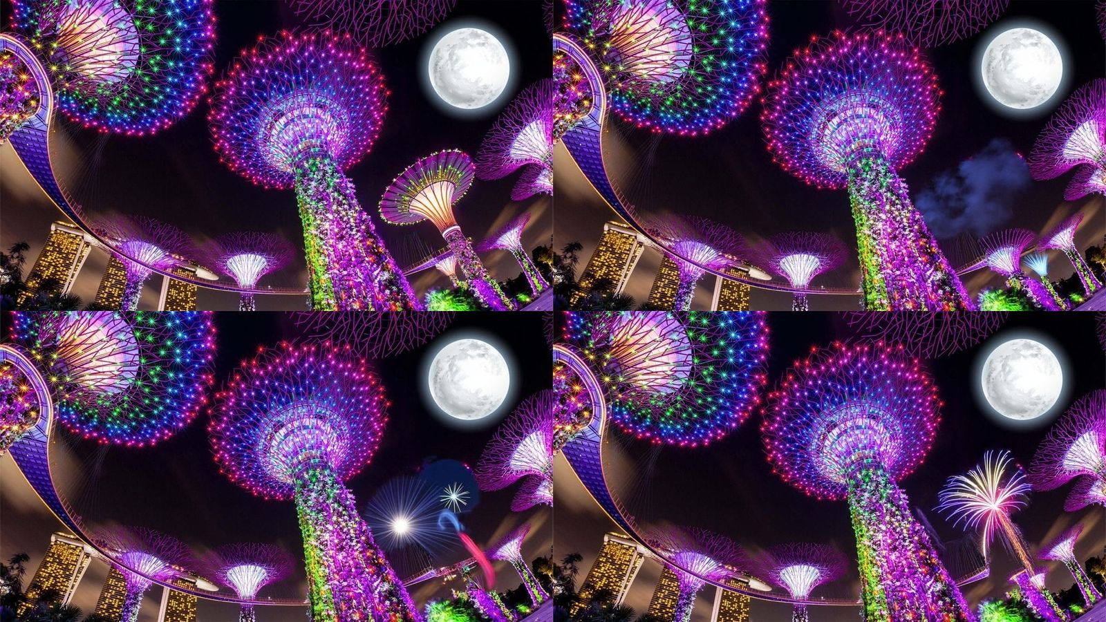 Vibrant Fireworks Display Lighting Up the Night Sky