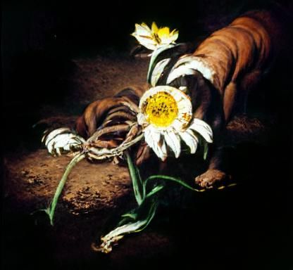 Corrupted Daisy Bound: Caravaggio-Inspired Still Life