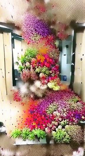 Explosion of Colorful Flowers: Digital Art
