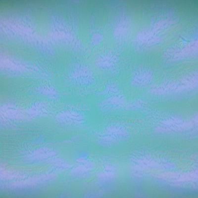 American Dad in 8k Resolution