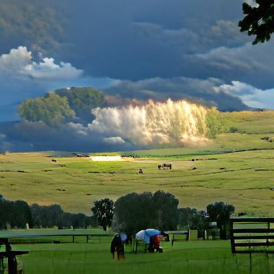 late afternoon summer storm over the southern horse pasture