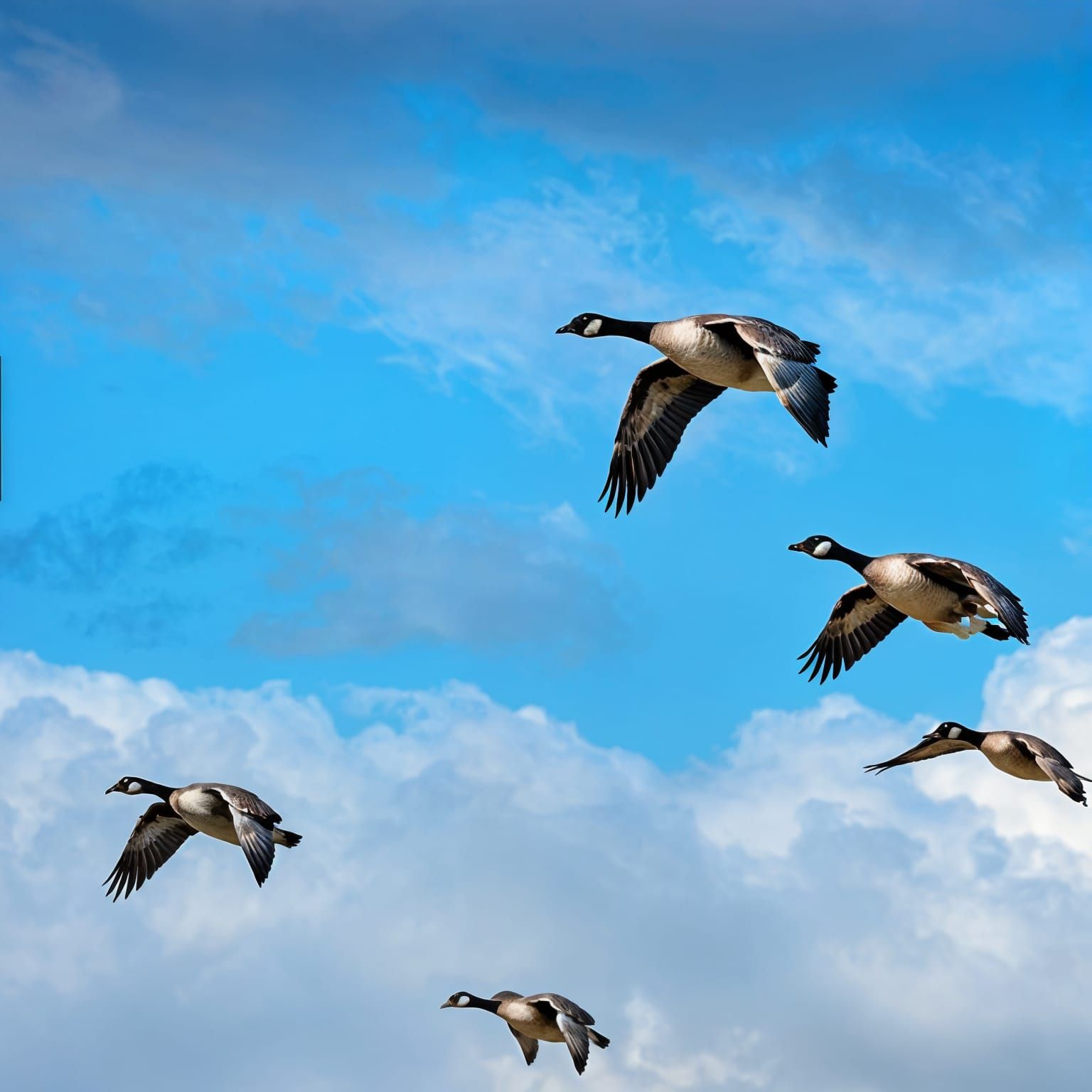Still busy making the bridal jewellery and the bridesmaid's ...
