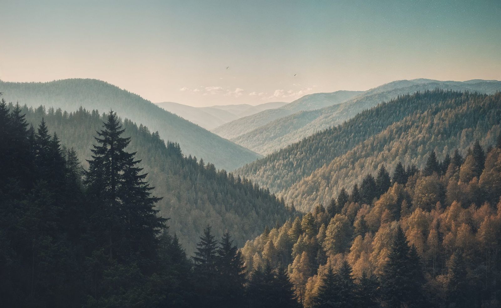 Grainy Mountainscapes and Rainy Cityscapes