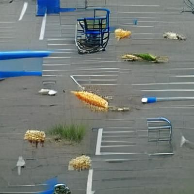 Shopping Cart Overflowing with Corn in Parking Lot