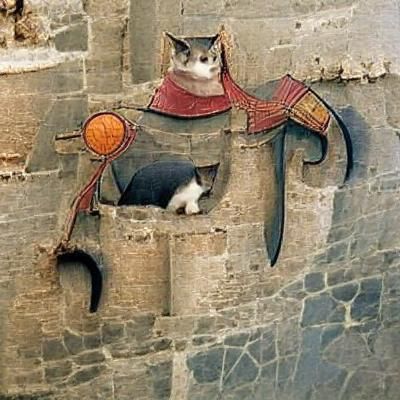 Medieval Cat in Regal Attire