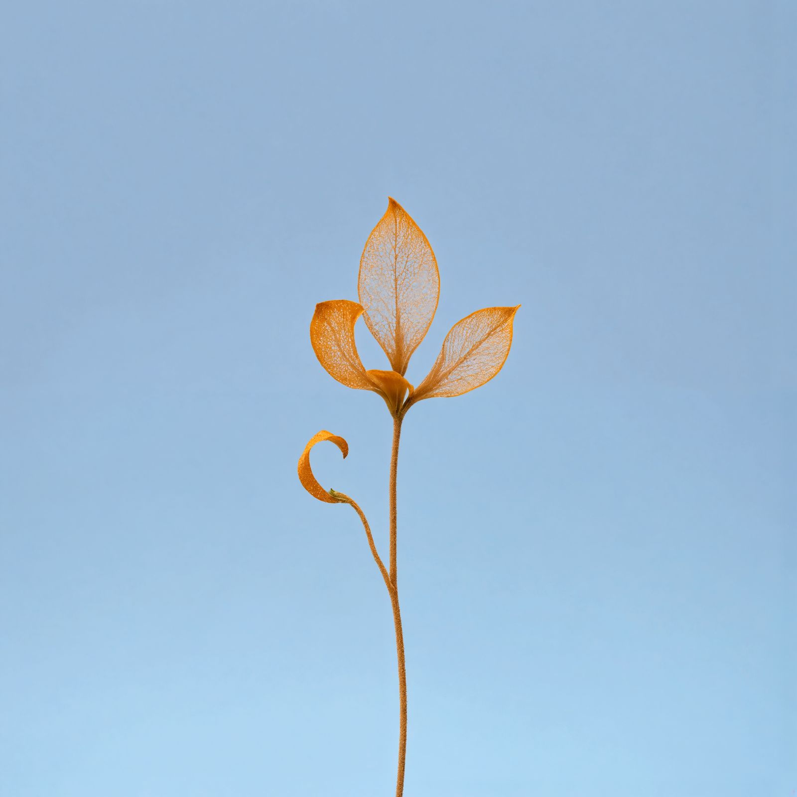 Delicate Sand Flower Sculpture