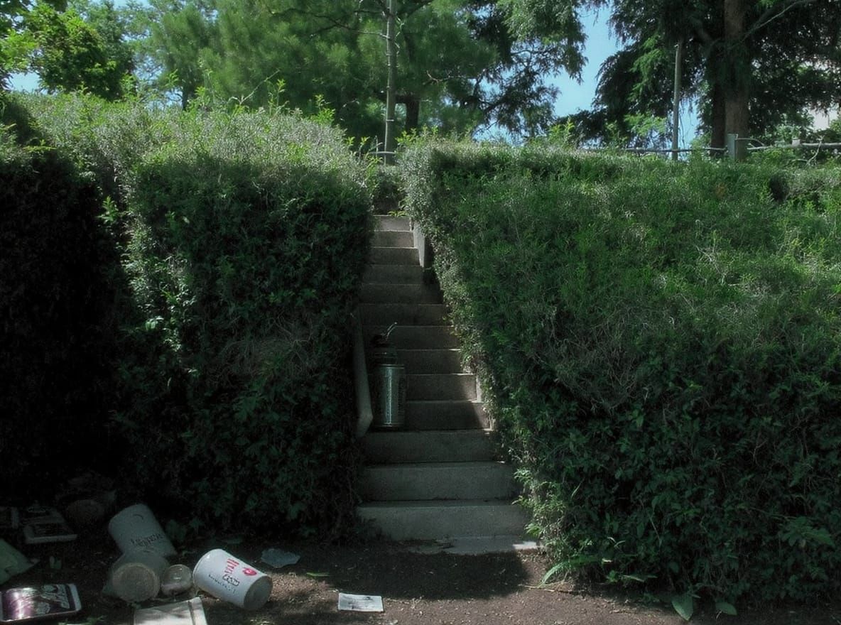 I found a hedge-maze in the back of an abandoned shopping mall that lead to a temple that worshiped pop-cans.  I asked t...