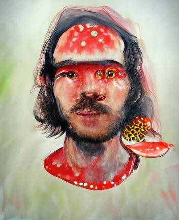 Classic Red Fly Agaric Mushroom Illustration