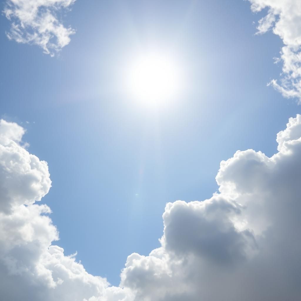 Iridescent Pāua Shell in Divine Light