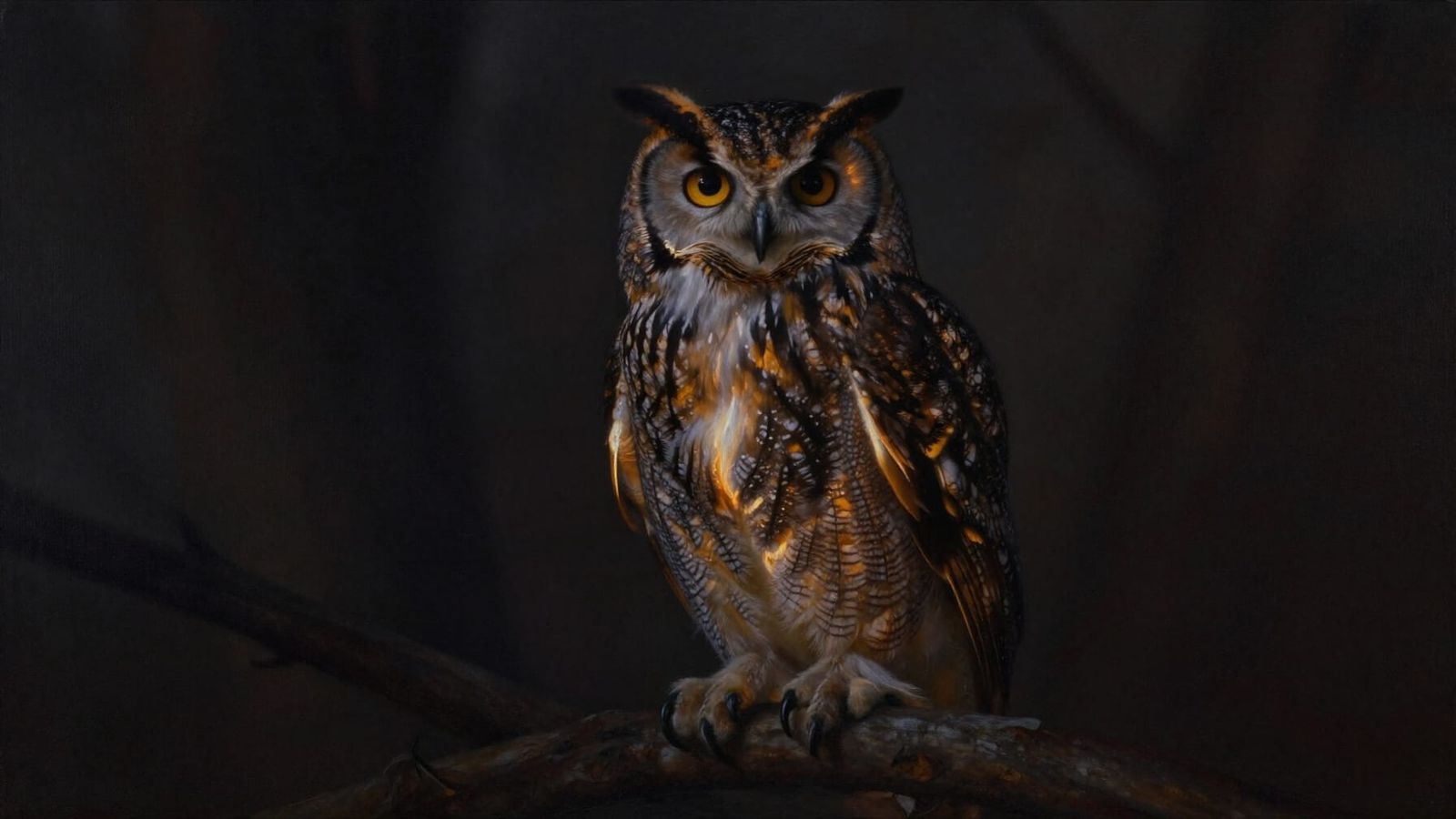 Nocturnal Owl Holds Sunrise Light in Shadow