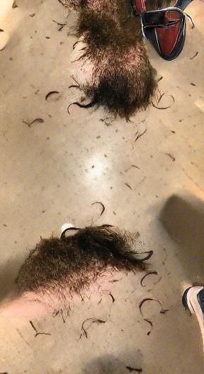 AI Generated Image of an Expensive Haircut