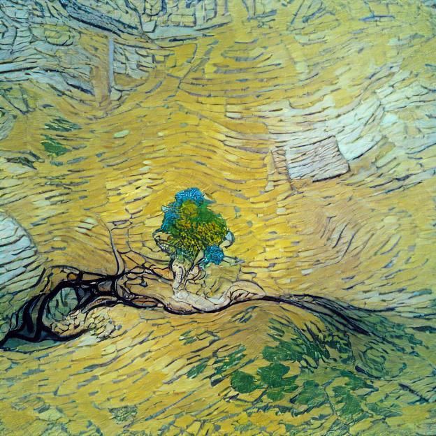 Peaceful Shade Underneath a Lush Green Tree