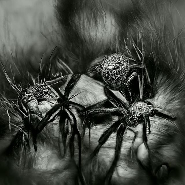 Hyperdetailed Charcoal Drawing of Hellish Spiders