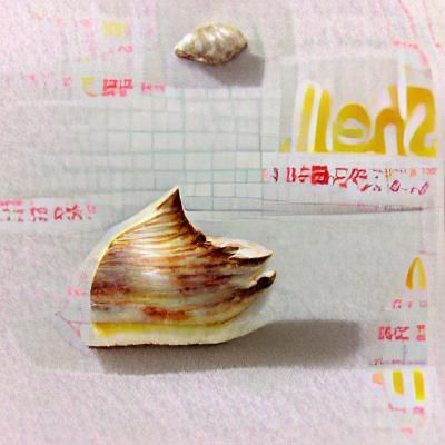 Seashell on Beach, Close-up