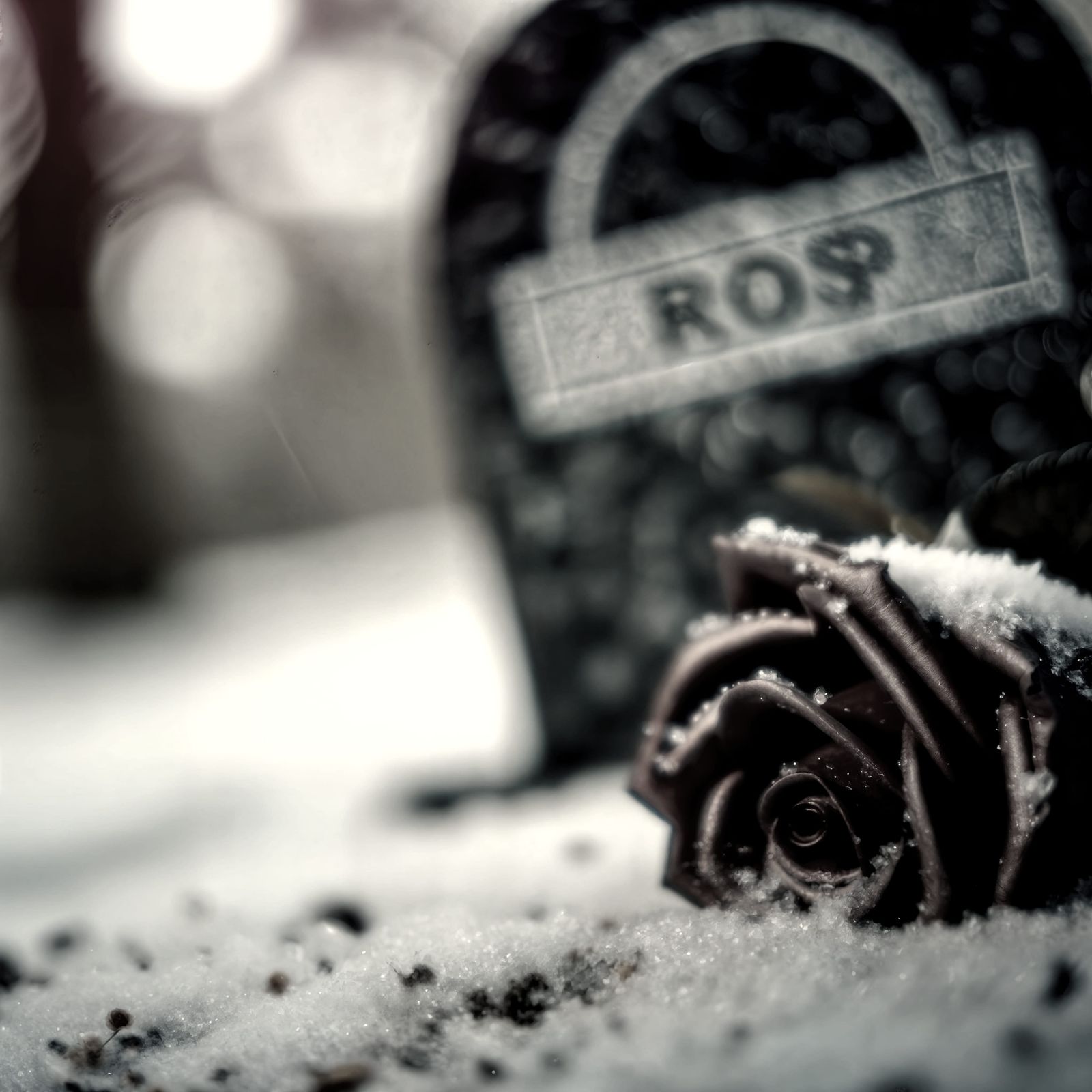 Melancholic Rose Beside Snow-Covered Gravestone