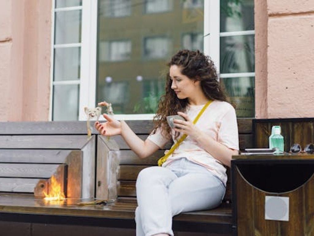 Majestic Siamese Cat by Fireplace in Matte Painting Style