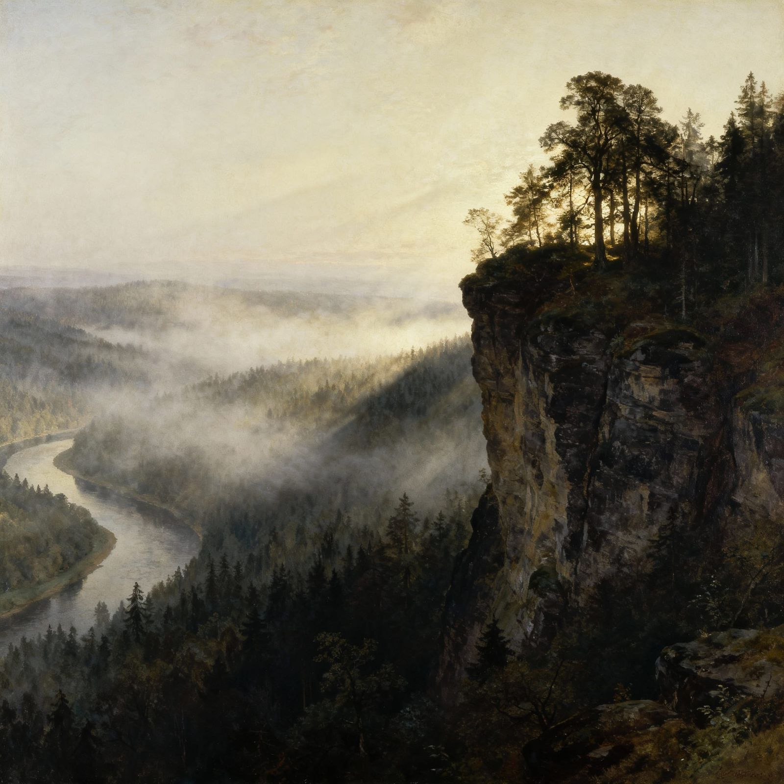 Misty Forest Cliff Overlooking River in Dresden