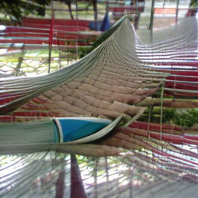 Tropical Beach Hammock Paradise