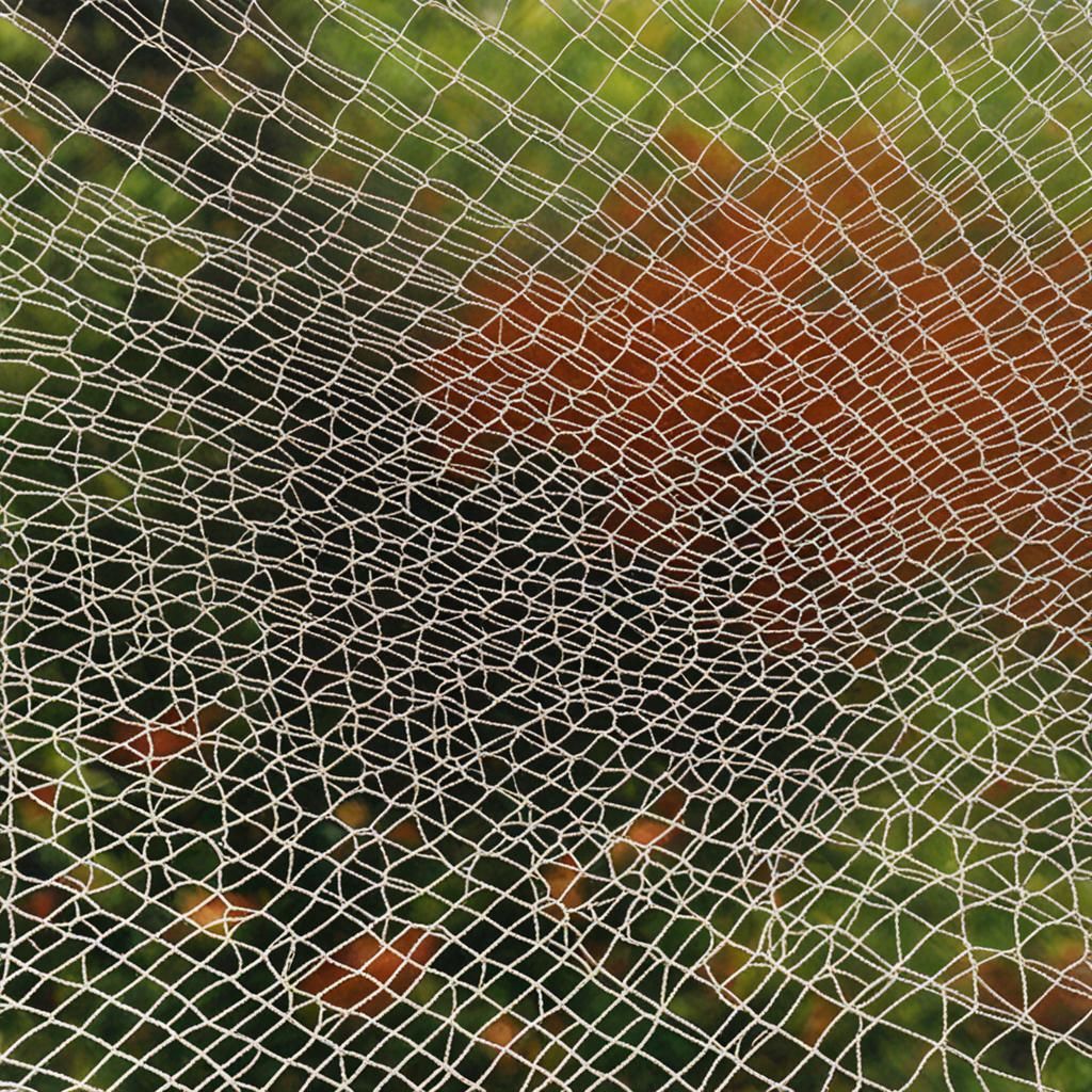 AI Interpretation of a Net