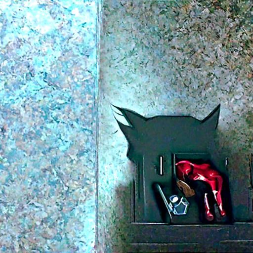 Batwoman's Secret: A Feline Companion in Her Drawer