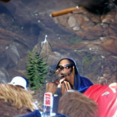 Snoop Dogg Smoking Blunt in Cool Mountain Scene