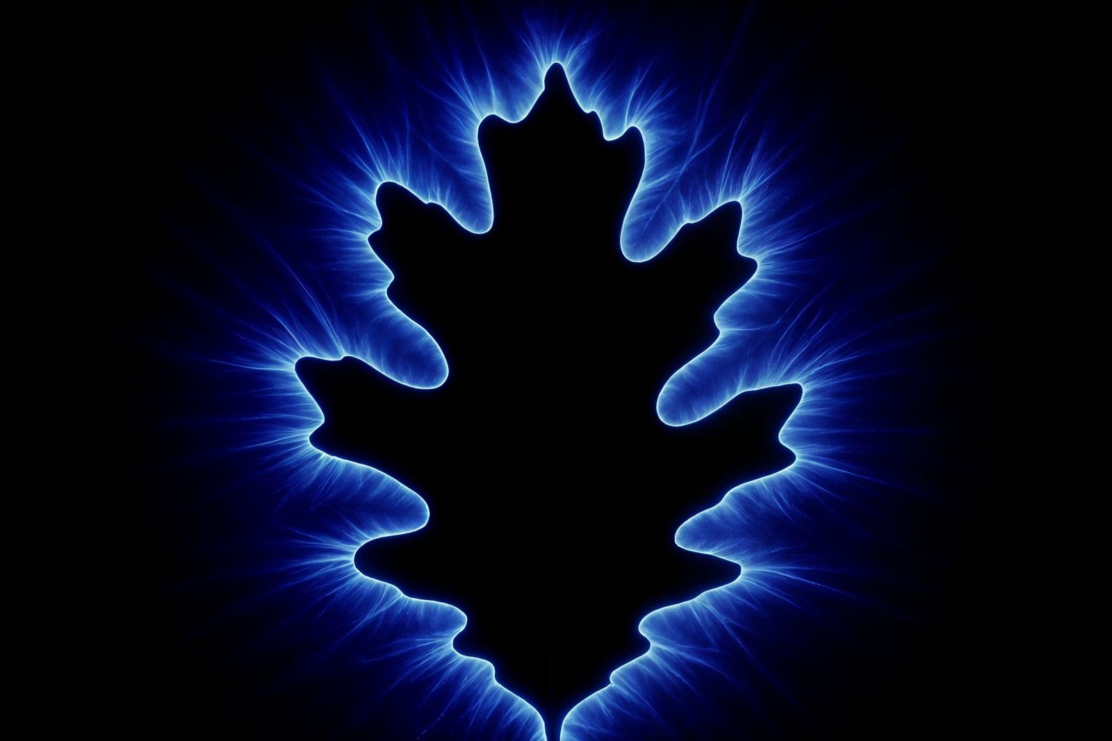 Kirlian Oak Leaf Silhouette with Blue Aura