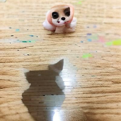 Adorable Chibi Cat Illustration