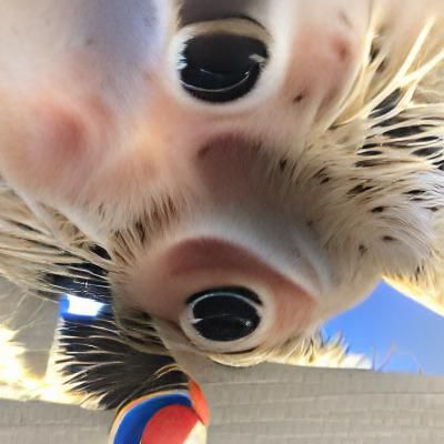 AI Interpretation of 'You Got Games on Your Phone?'