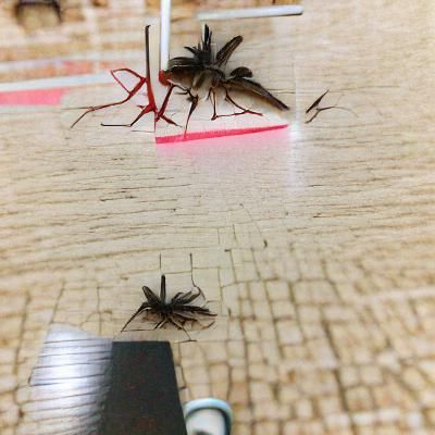 Simple AI Image of a Plea