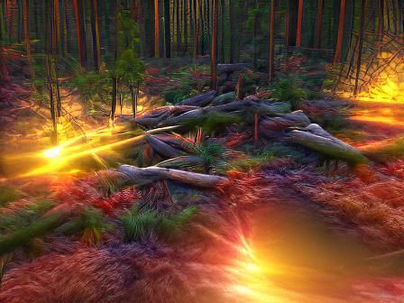 Forest Sunset in 8K 3D with Sunshine Rays