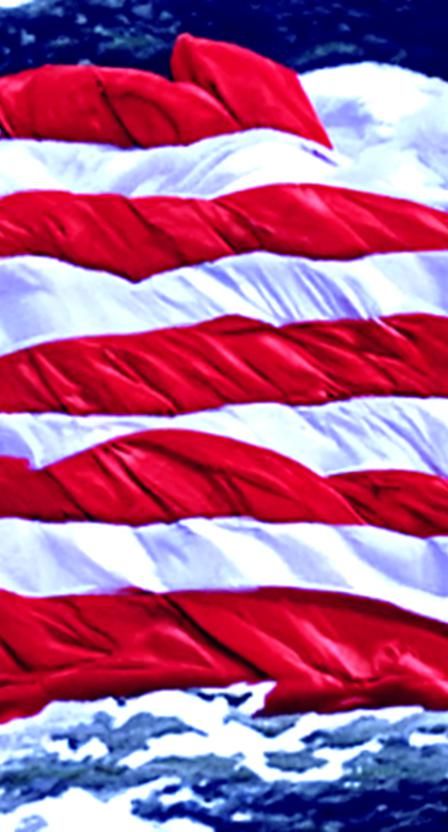 Celebrating US Veterans Day: Honoring Service Members