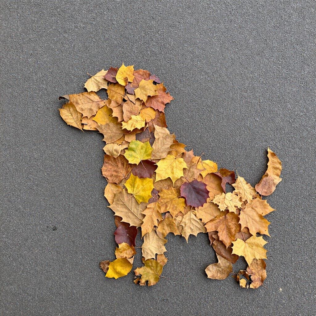 A dog made out of Autumn leaves