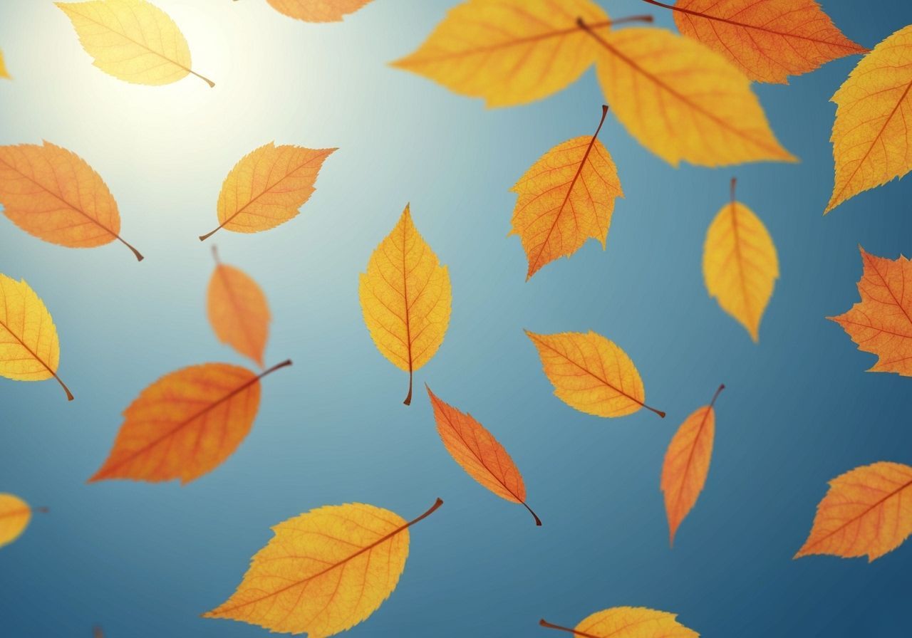 Colorful Autumn Leaves Falling in Sunlight