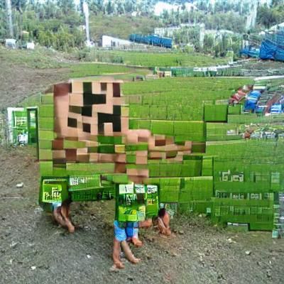Pixelated Block Landscape